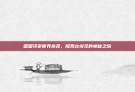 暖暖环游世界埃及，探索古埃及的神秘之旅