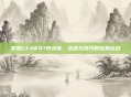 掌握CFAK47野战军，战术与技巧的完美结合