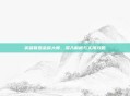 英雄联盟金属大师，深入解析与实用攻略
