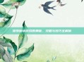 探索魔塔游戏的奥秘，攻略与技巧全解析