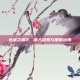 丛林之狐2，深入探索与策略运用
