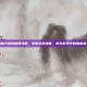 神魔大陆驯兽师攻略，掌握关键技能，成为游戏中的驯兽高手