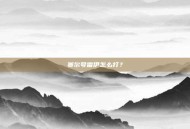 赛尔号雷伊怎么打？