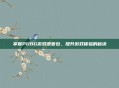 掌握PUBG游戏语音包，提升游戏体验的秘诀