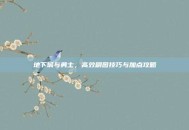 地下城与勇士，高效刷图技巧与加点攻略