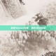 掌握Steam设置，优化游戏体验