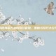 揭秘海盗大战的奇幻冒险，策略与技巧大公开