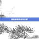 碾压者奥布多布在哪