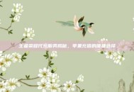 王者荣耀代充服务揭秘，苹果充值的便捷选择