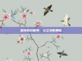 探索游戏世界，心之灵的奥秘