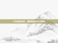 十字军的试炼,策略征程与技巧精析