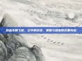 热血无赖飞机，空中的对决，策略与速度的双重考验