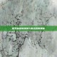 探索仙剑奇侠传5激活码的奥秘