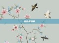感染者游戏