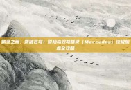 精灵之舞，箭破苍穹！冒险岛双弩精灵（Mercedes）终极加点全攻略