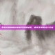 掌握流星蝴蝶剑单机无敌版秘籍，畅享无限制战斗乐趣