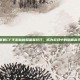 掌握CF手游仙鹤躲猫猫技巧，成为游戏中的隐藏高手
