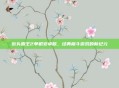 街头霸王2单机安卓版，经典格斗游戏的新纪元
