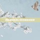揭秘巅峰修理工的终极维修秘籍