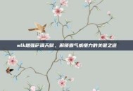 wlk增强萨满天赋，解锁霸气威慑力的关键之道