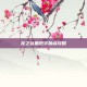 龙之谷重炮手加点攻略