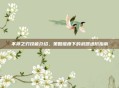 不祥之刃技能介绍，策略维度下的武器进阶指南