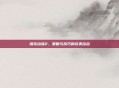 坦克动荡2，策略与技巧的完美结合