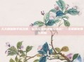 天天酷跑助手修改器，游戏玩法的突破与挑战？一文拆解使用与风险