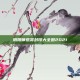 阴阳师悬赏封印大全图2021