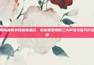冒险岛最新外挂暗流涌动，玩家需警惕的三大风险与官方打击行动