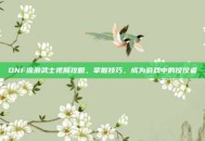 DNF流浪武士视频攻略，掌握技巧，成为游戏中的佼佼者