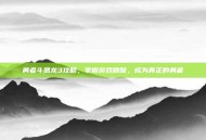 勇者斗恶龙3攻略，掌握游戏精髓，成为真正的勇者