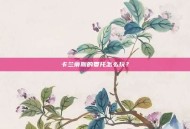 卡兰蒂斯的委托怎么玩？