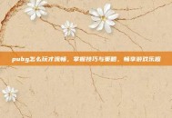 pubg怎么玩才流畅，掌握技巧与策略，畅享游戏乐趣