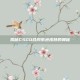 揭秘CSGO合同紫色皮肤的奥秘