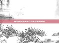 探索仙剑奇侠传四终极装备的奥秘