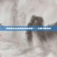 揭秘魔古山宝库的终极宝藏——全面攻略指南