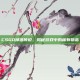 CSGO掉落传说，揭秘游戏中的稀有物品
