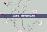 龙王装备，游戏中的终极武器