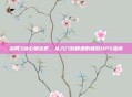 剑网3冰心输出宏，从入门到精通的极致DPS指南