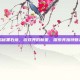 揭秘黑石塔，游戏界的新星，探索其独特魅力