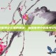 探索侏罗纪公园的奥秘，魔兽世界中的侏罗纪冒险