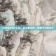 愤怒的小鸟PC版，游戏新境界，策略与乐趣并行