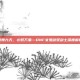 剑舞九天，心驭万象—DNF女鬼剑驭剑士深度解析