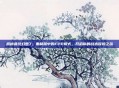 揭秘最终幻想7，重制版中的FPP模式，开启你的战术冒险之旅