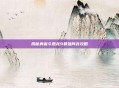 揭秘勇者斗恶龙9最强阵容攻略