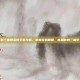 新三国群英传手游攻略，掌握游戏精髓，成就你的三国梦