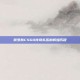 俄罗斯CSGO传奇队伍的辉煌历程