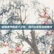 魔兽世界熊猫人之谜，揭开古老传说的面纱