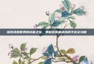 探索武侠世界的终极之旅，单机武侠角色扮演手游全攻略